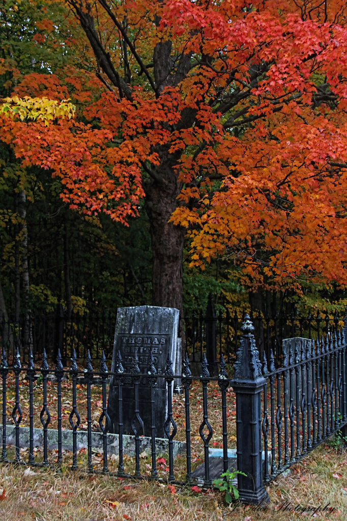 The Cemetery