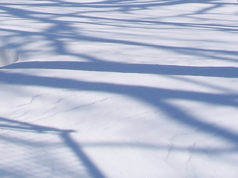 Snow Shadows