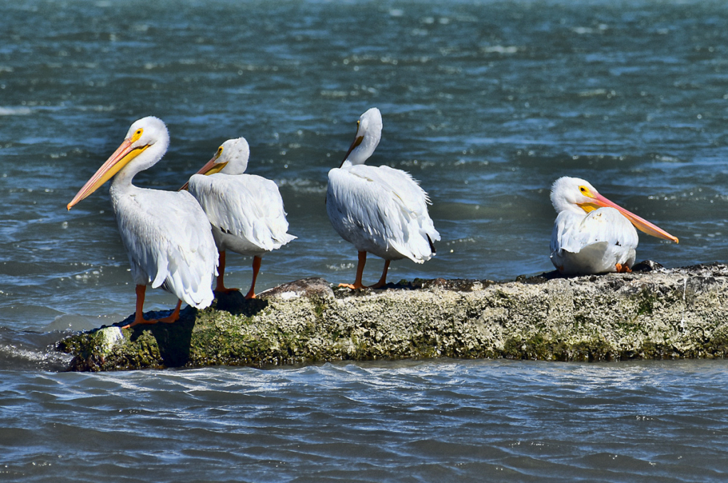 FRIENDS GATHERING