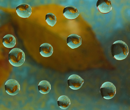 Leaf and Drops