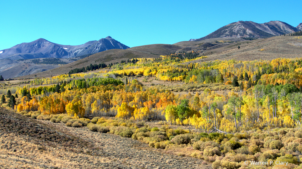 Autumn on the east slope of the Sierra Nevada