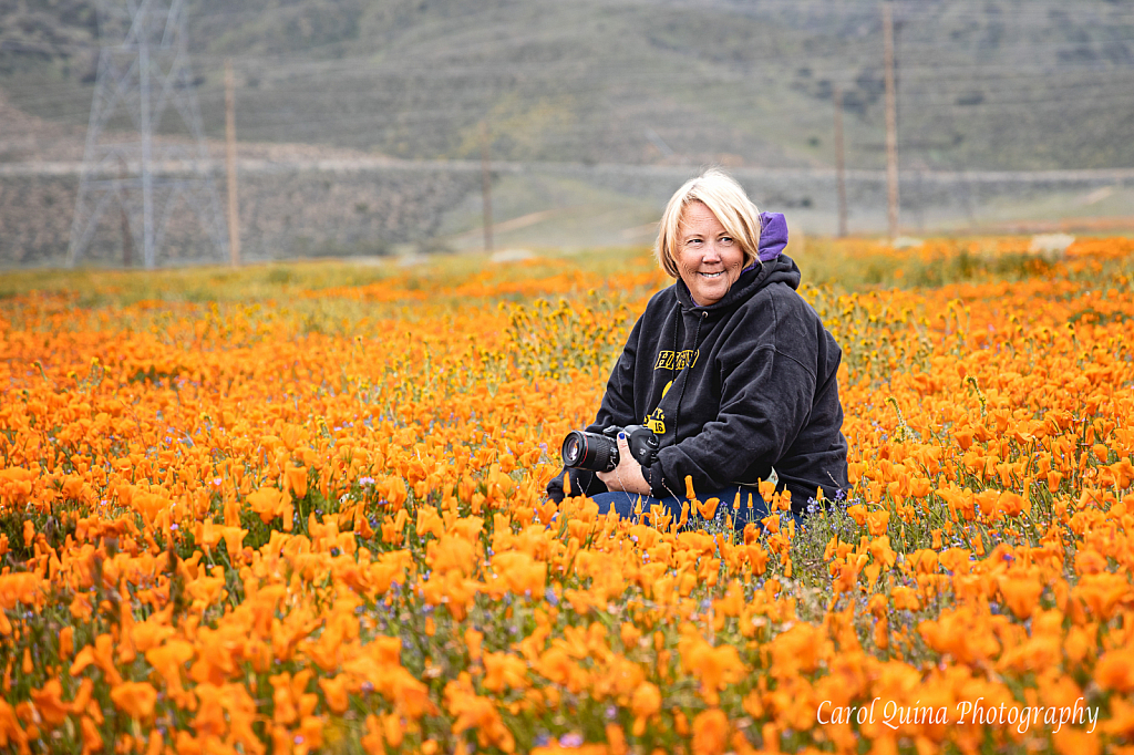 Fun in the Poppy Fields