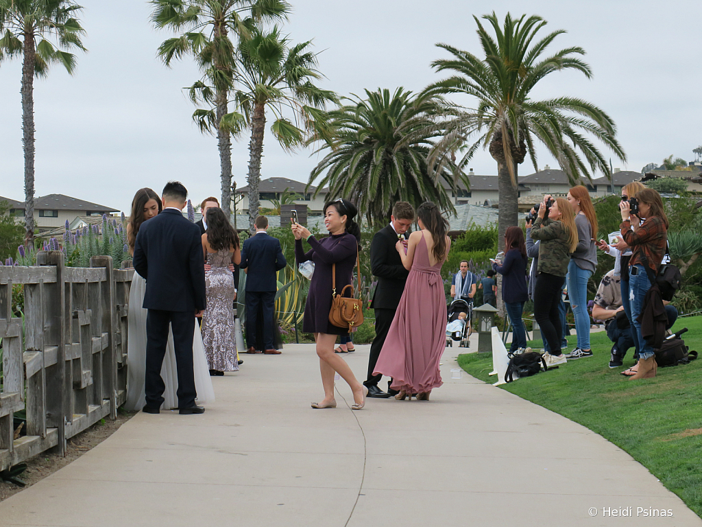 Prom Mom Photogs