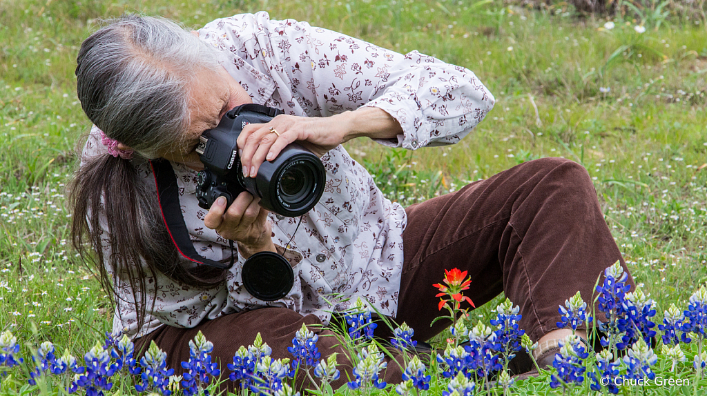 Spring Flowers