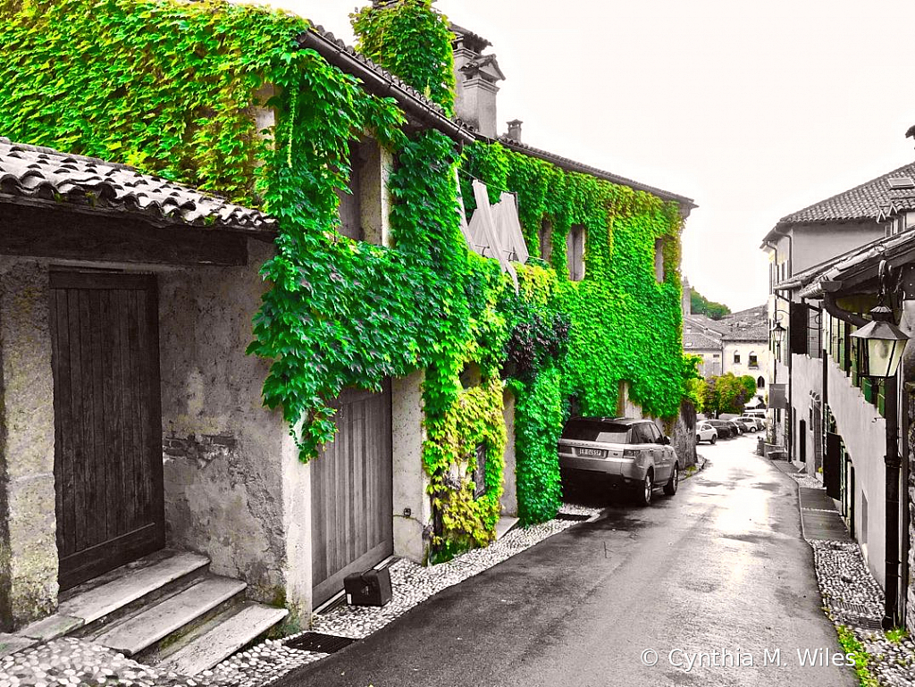Italian Village Greenery - ID: 15872681 © Cynthia M. Wiles