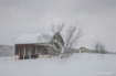 Old Barn In The S...
