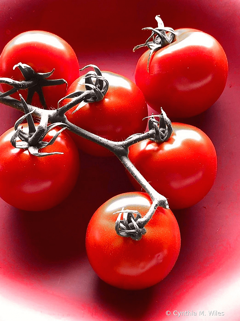 Tomatoes On the Vine - ID: 15872785 © Cynthia M. Wiles