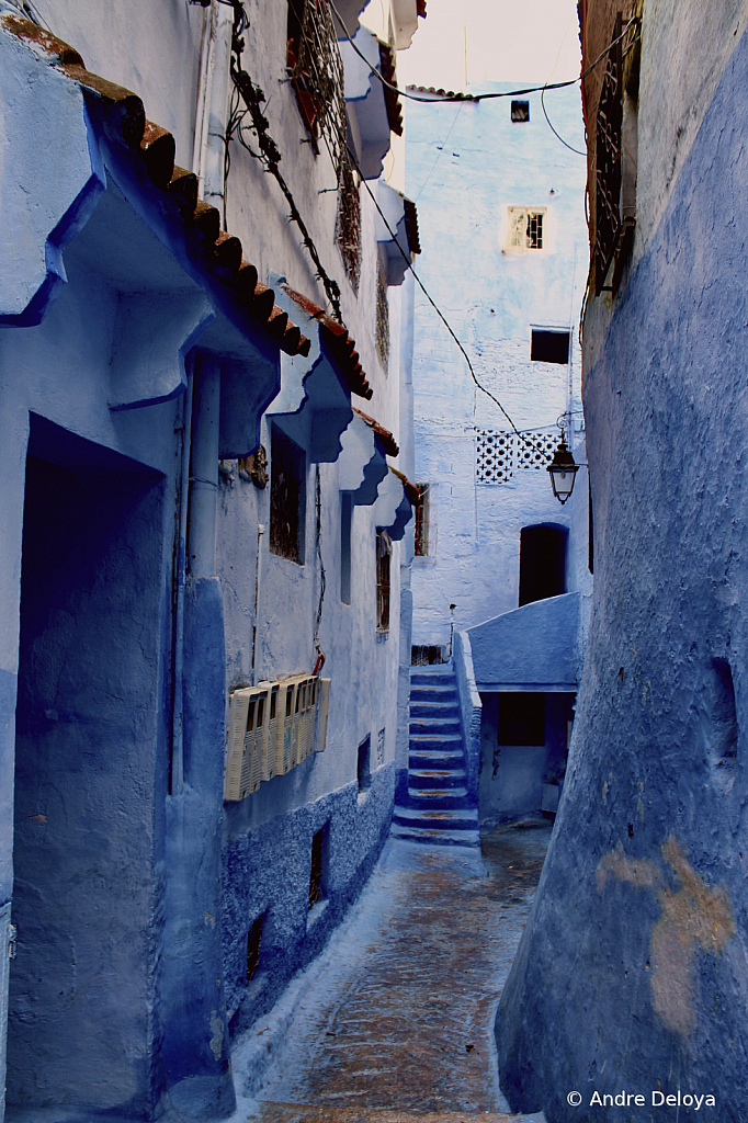 Blue Alleys, Crooked Streets 