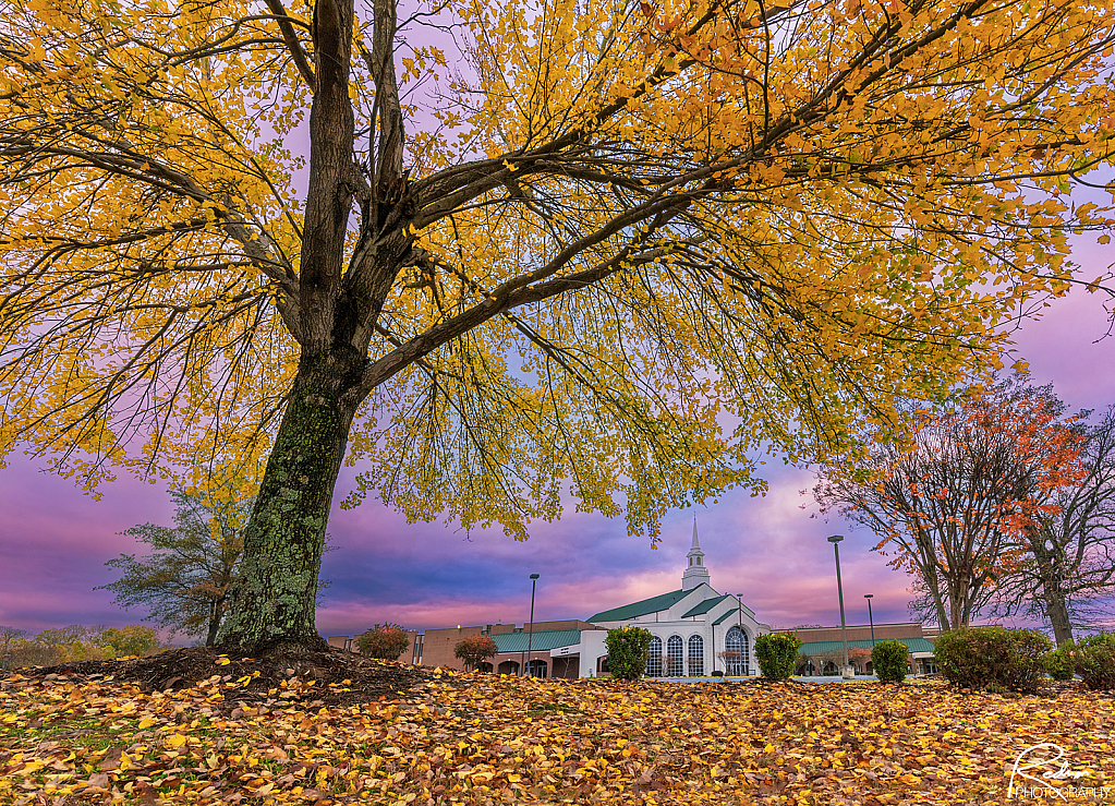 Autumn Postcard