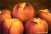 Peaches