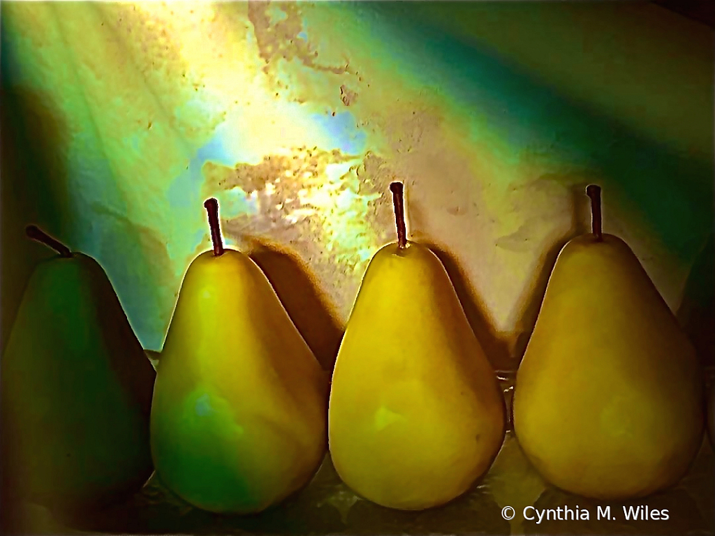 Pears - ID: 15873032 © Cynthia M. Wiles