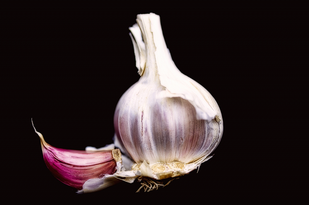 Garlic