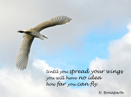 Spread Your Wings