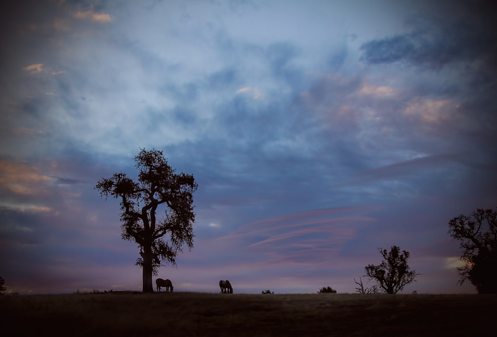 Cloud Formations in the Wind