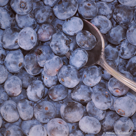Blueberries for Breakfast