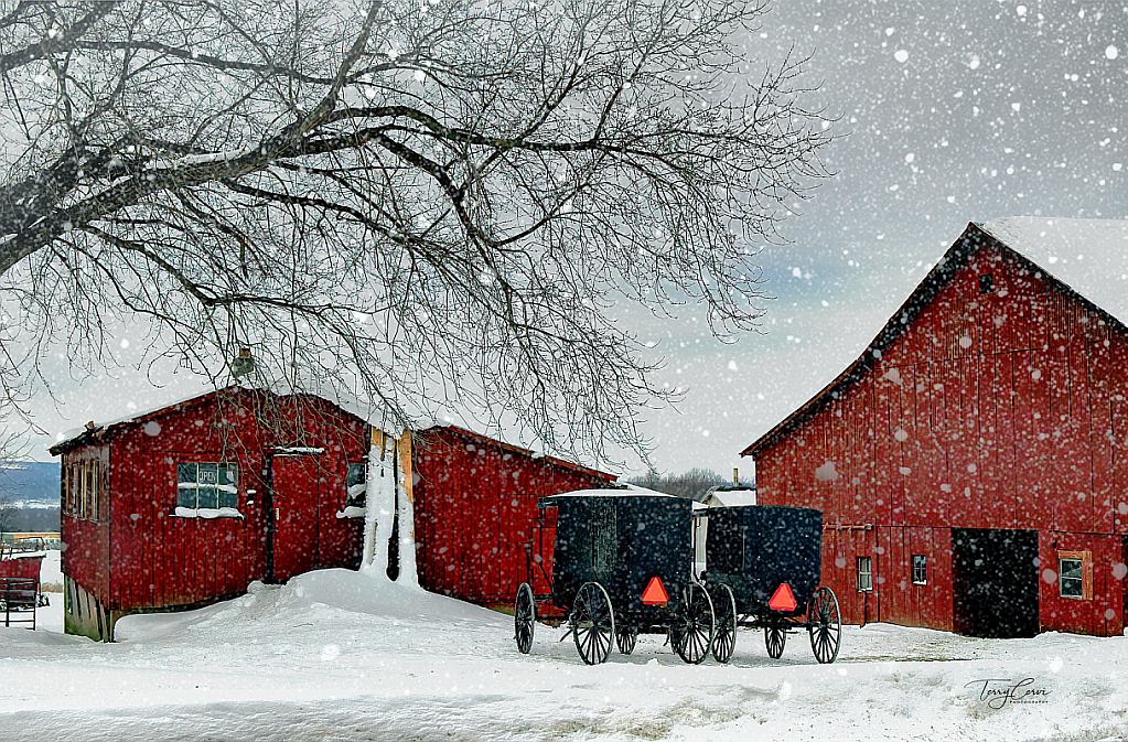 Winter in Amish Country