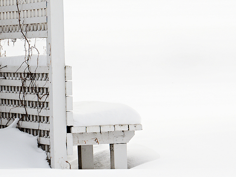 Snow Covered Bench