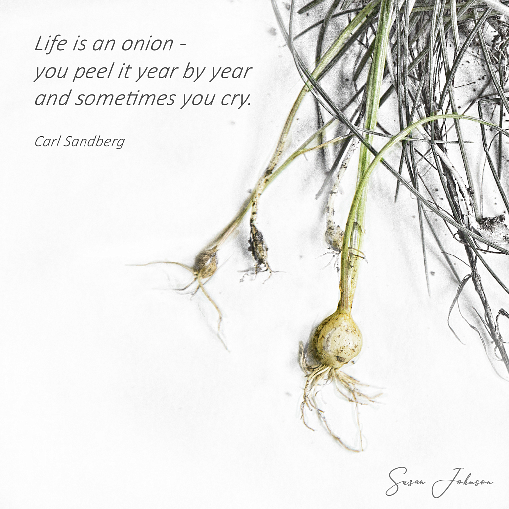 Life is an onion - ID: 15874694 © Susan Johnson