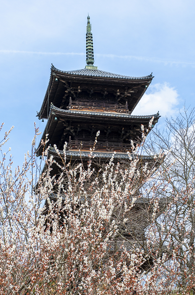 Kokubunji Pagoda 2