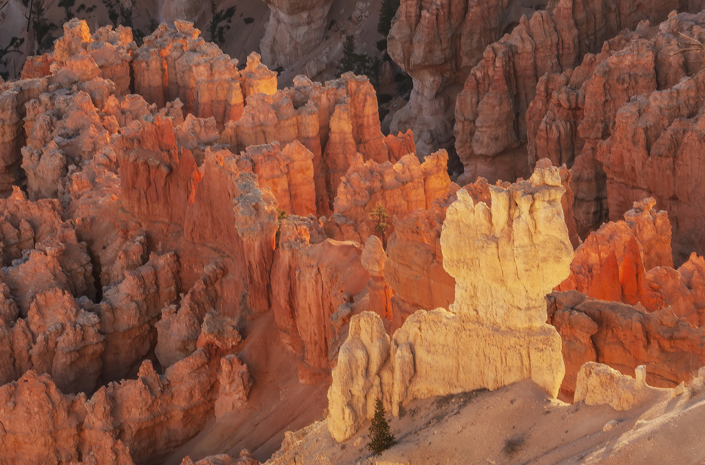 Bryce Canyon NP  