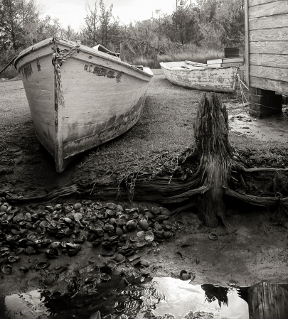 Oyster Shells and Two Boats 