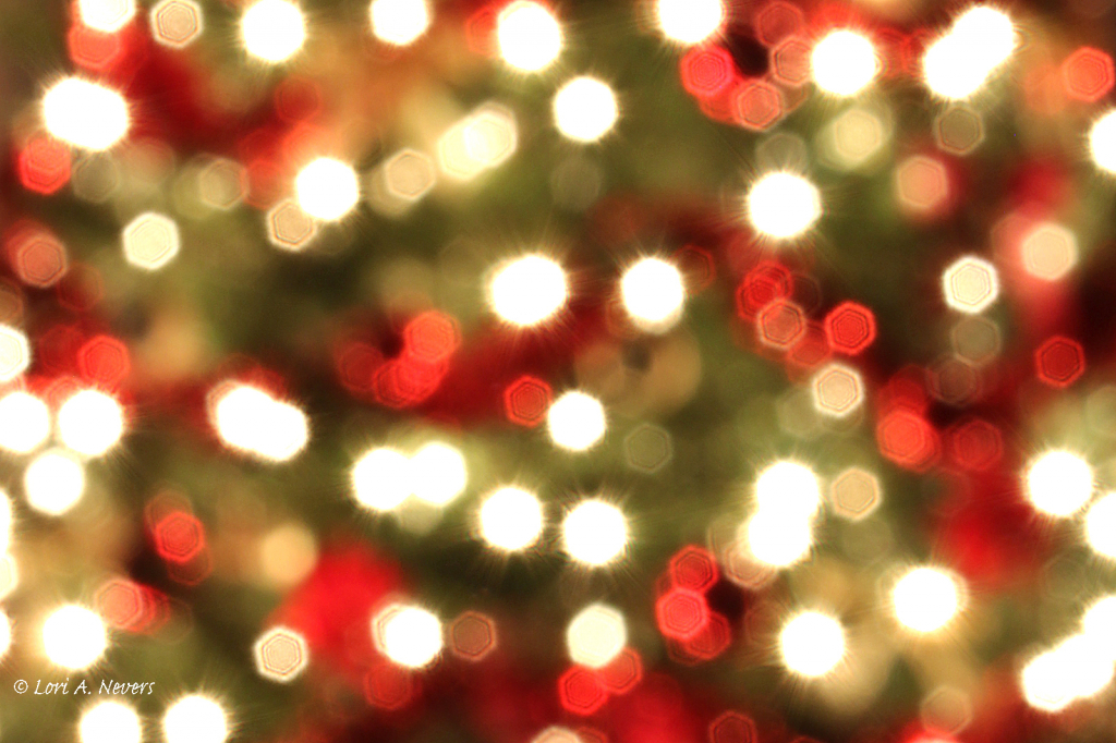 Holiday Lights - ID: 15875643 © Lori A. Nevers
