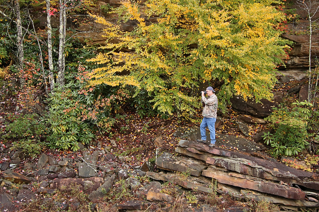 Fall Photographer