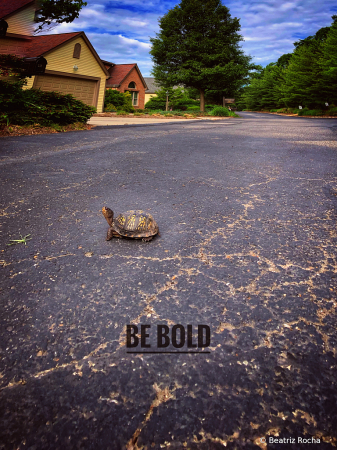 Be Bold