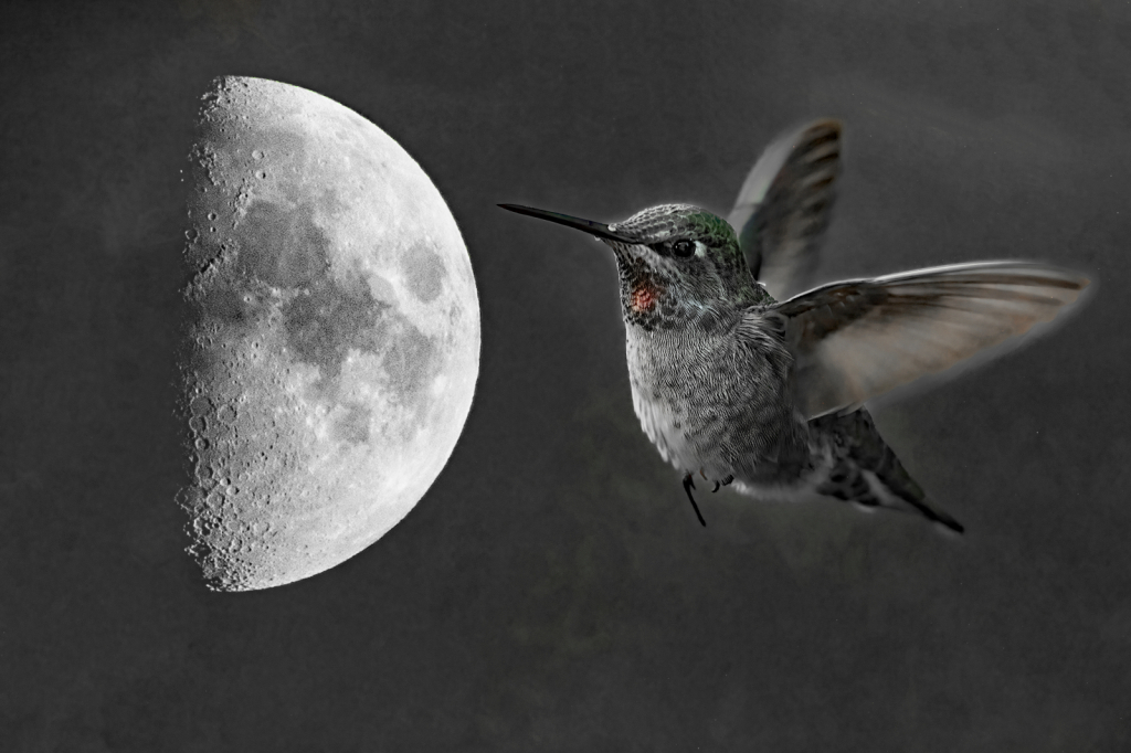 Humming to the Moon