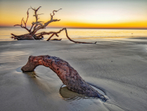 December 2020 Photo Contest 2nd Place Prize Winner