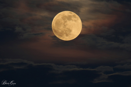 Moon Over Kentucky 