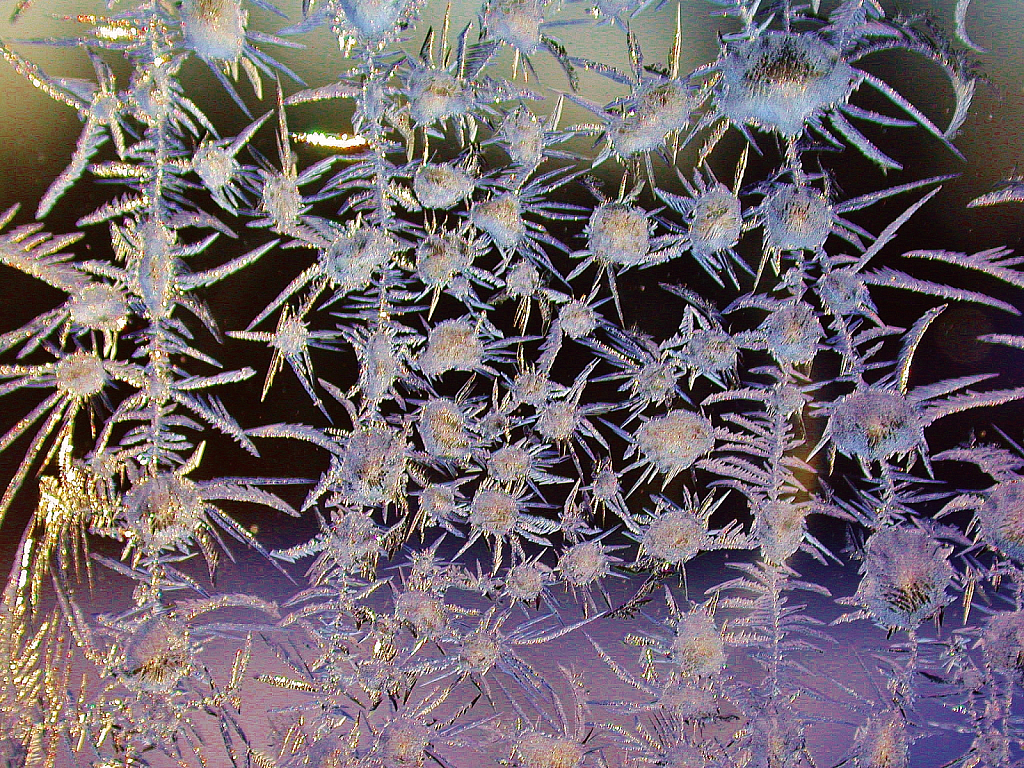 Window ice crystals