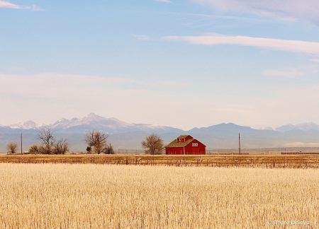 Red Barn on Colorado Plains 