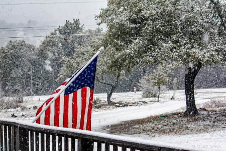 Snowing in Texas!