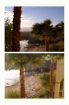 Two Views-Colorad...