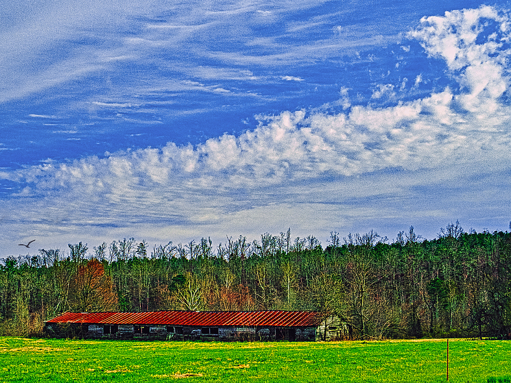 Rural Arkansas