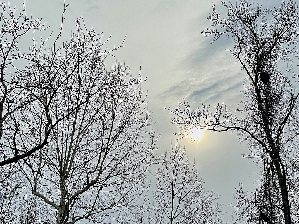 Winter Sky - ID: 15878169 © Janet Criswell