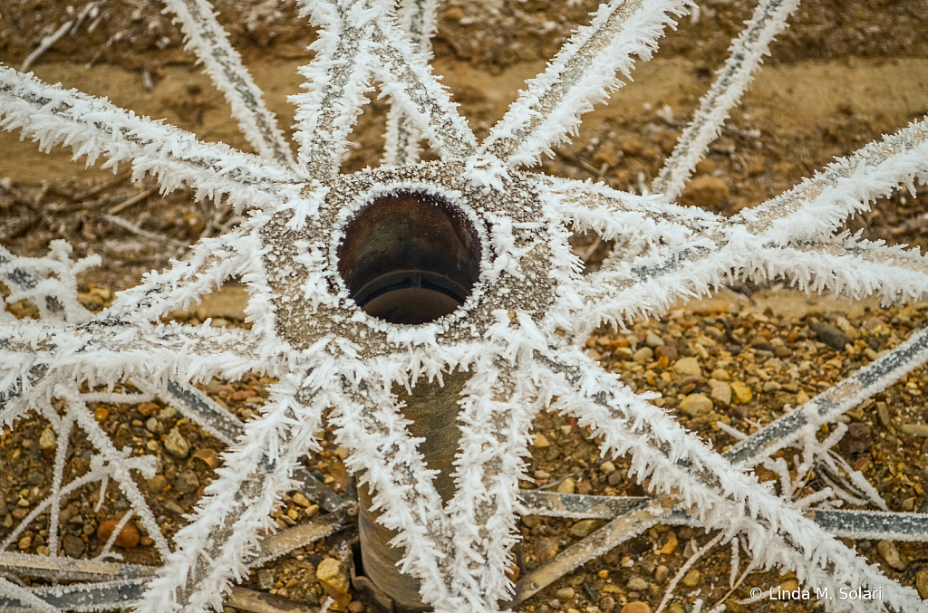 Hoar Frost