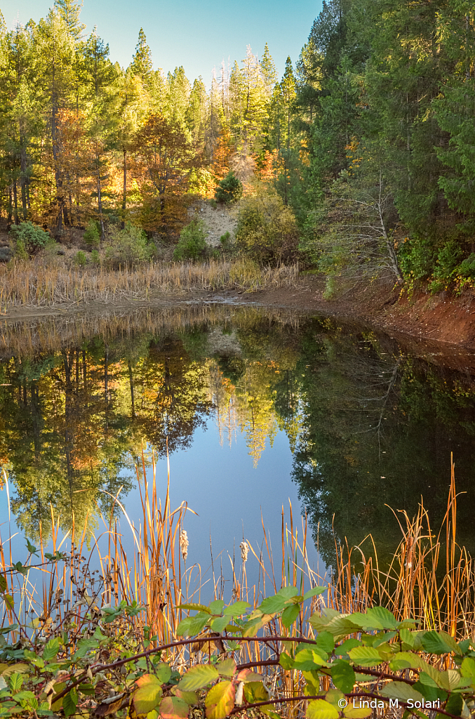 Reflections Of Days Gone By