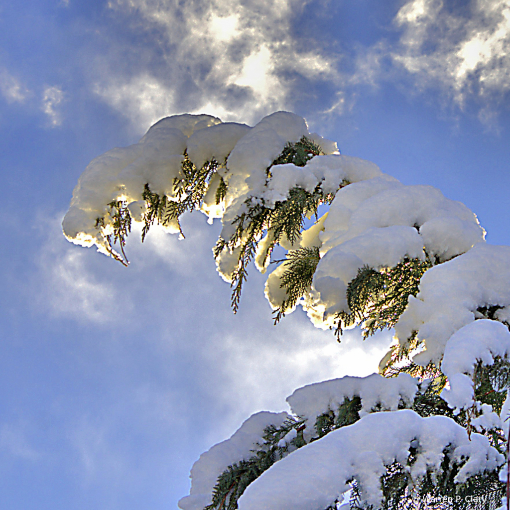 First sun on new snow