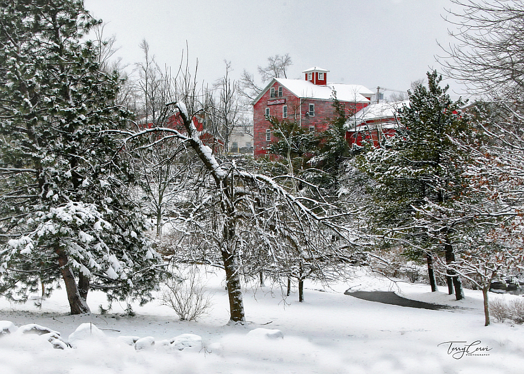 Winter in the Glen