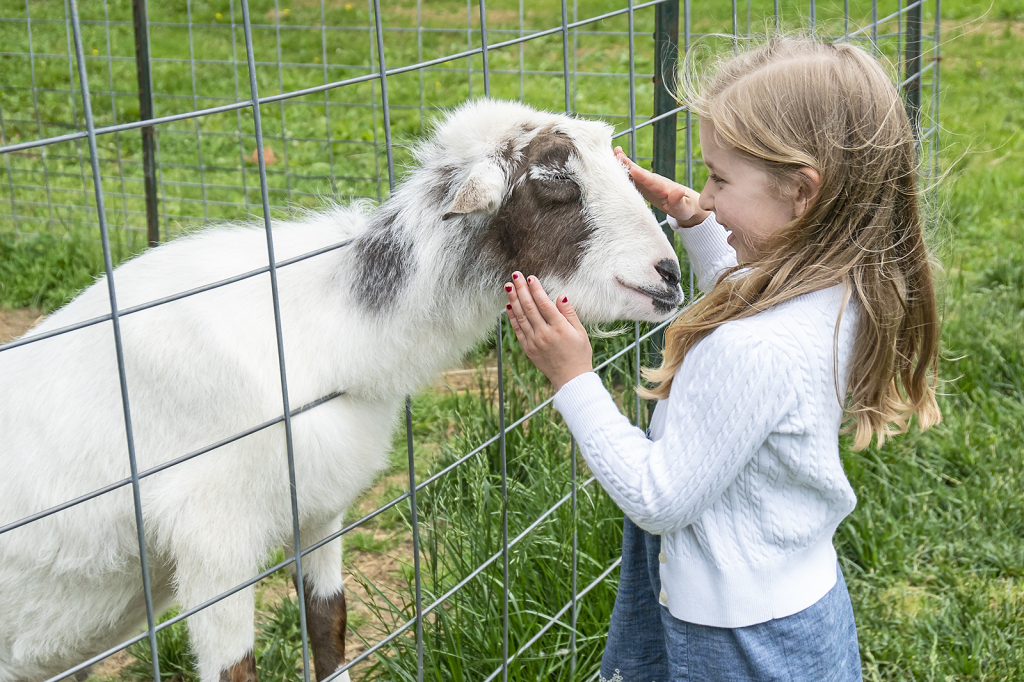 Buttercup and Friend  