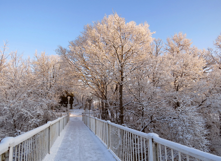 Winter At The Footbridge