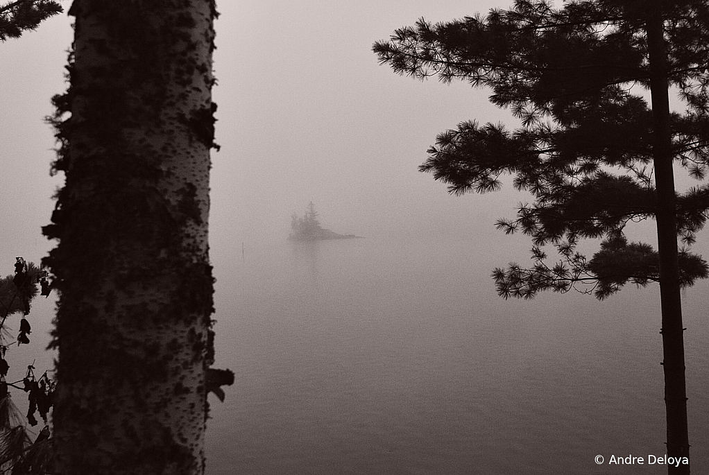 Island in the Morning Fog.