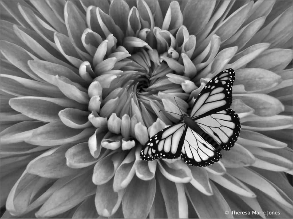 Mum with Butterfly