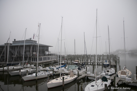 A Misty Morning in Annapolis