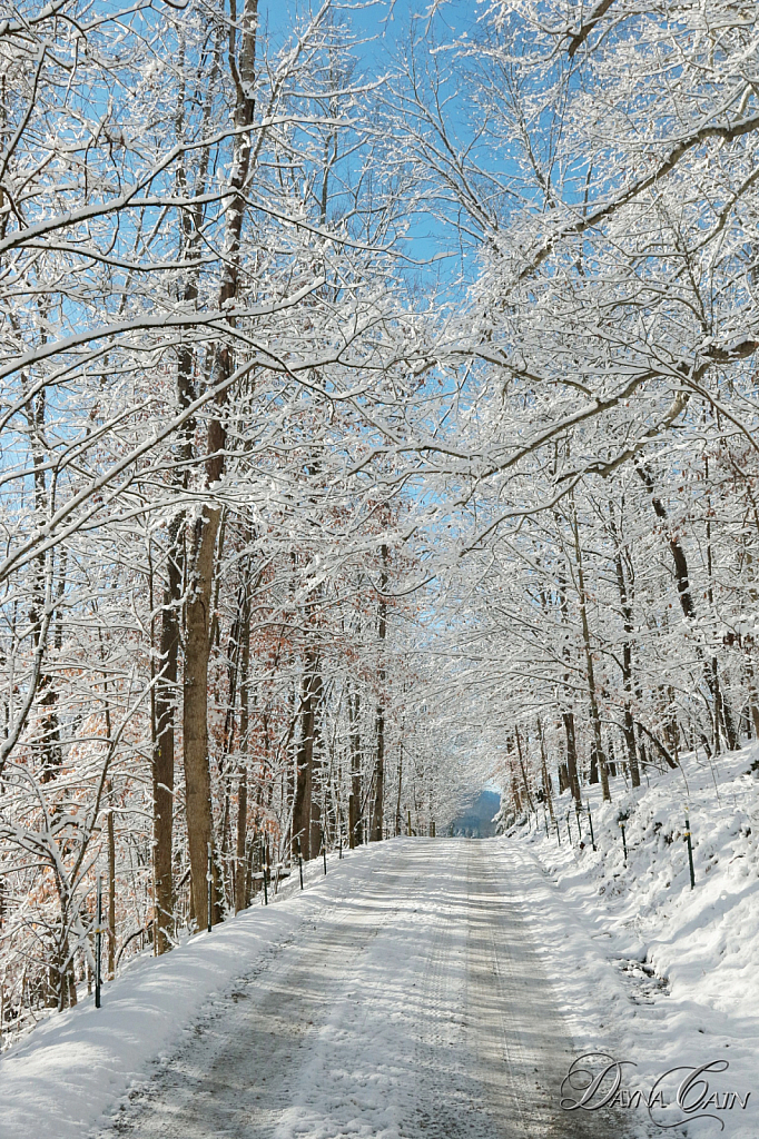 Along A Snowy Road