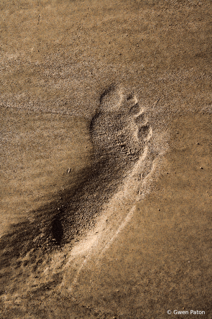 Footprint in the Sand