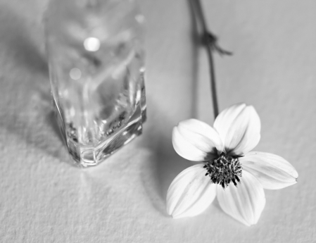 Flower with Bottle