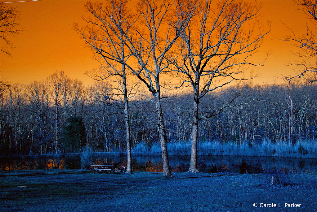 RNH Farm Pond